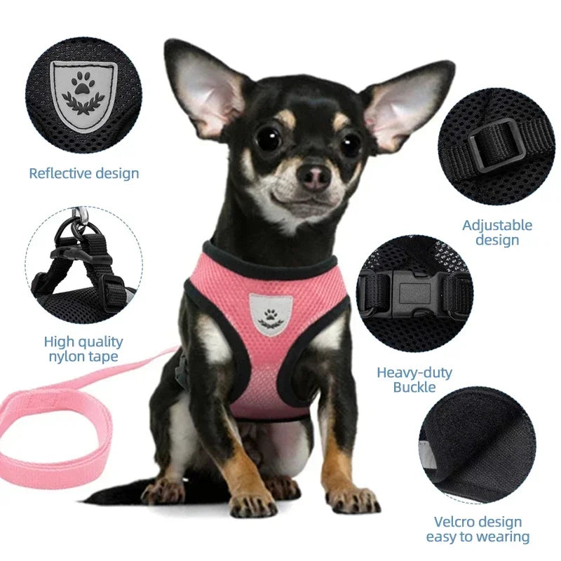 Prime Deal Zone cat harness vest with leash, adjustable mesh polyester for small and medium dogs, suitable for walking and pet control