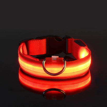 Nylon LED night safety dog leash with glowing fluorescent and luminous features, ideal for nighttime visibility.