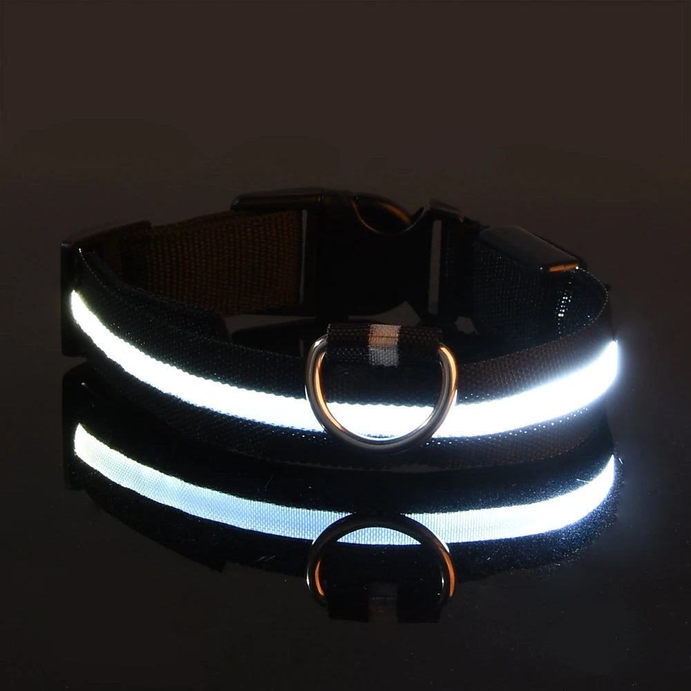 Nylon LED dog leash with glowing fluorescent safety light, luminous and reflective for nighttime visibility during walks.