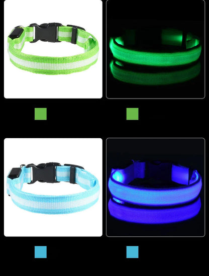 Nylon LED dog leash with luminous glow-in-the-dark features, perfect for nighttime safety and visibility for pets.