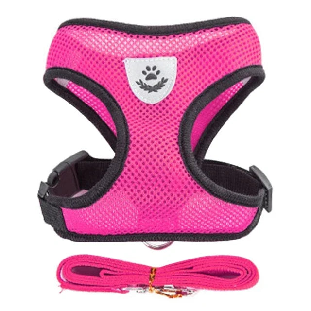 Prime Deal Zone cat harness vest with leash, adjustable mesh harness for small and medium dogs, made of polyester.