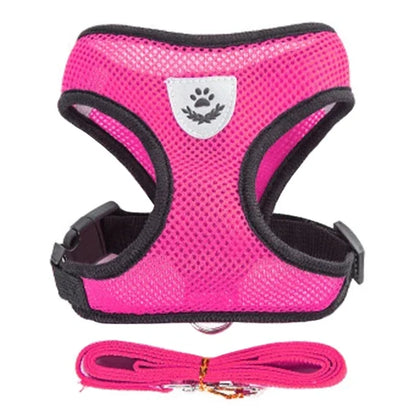 Prime Deal Zone cat harness vest with leash, adjustable mesh harness for small and medium dogs, made of polyester.