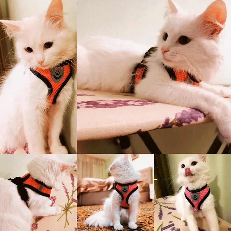 Prime Deal Zone adjustable cat harness vest with leash, mesh polyester pet collar and walking lead for small and medium dogs.