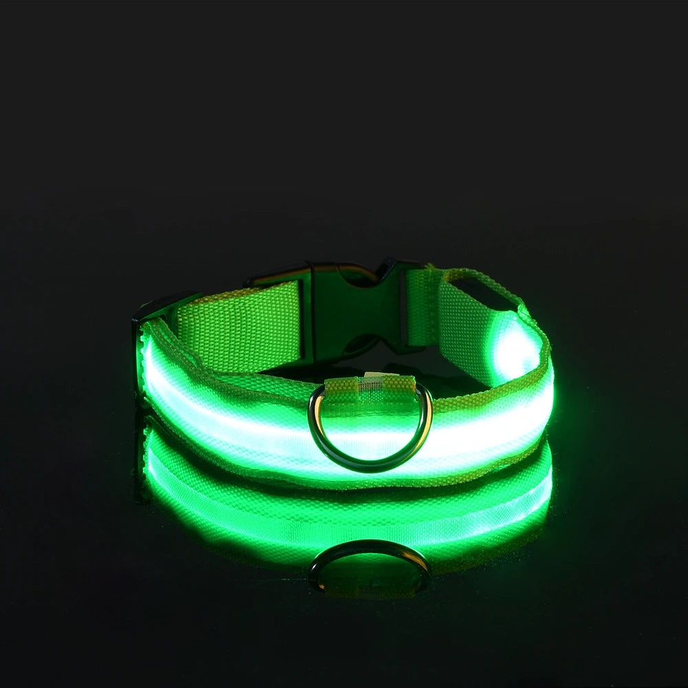 Nylon LED night safety dog leash with glowing fluorescent effect, ideal for visibility during nighttime walks.