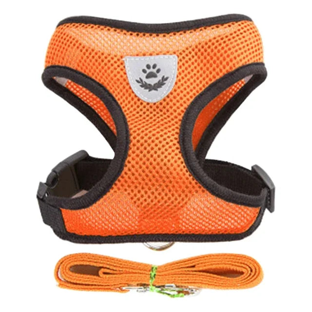 Prime Deal Zone cat harness vest with adjustable leash, mesh polyester for small and medium dogs, ideal for walks and pet comfort