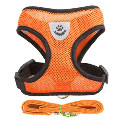Prime Deal Zone cat harness vest with adjustable leash, mesh polyester for small and medium dogs, ideal for walks and pet comfort