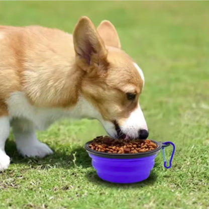 Portable silicone pet food and water bowl for cats and dogs, collapsible and durable for travel and outdoor use.