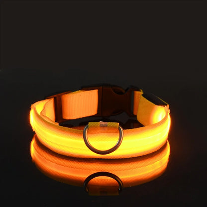 Nylon LED glow-in-the-dark dog leash with luminous fluorescent collar for nighttime safety and visibility.