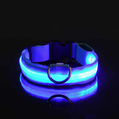 Nylon LED dog leash with glowing fluorescent safety features, ideal for nighttime walks with luminous visibility.