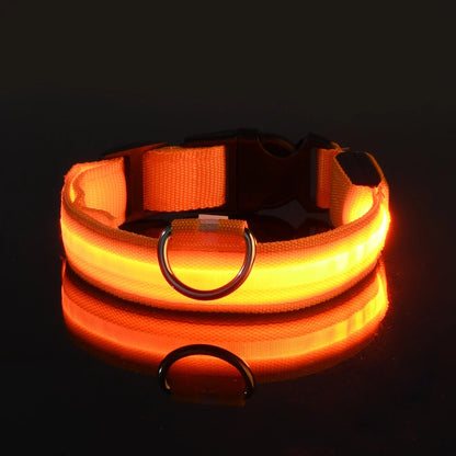 Nylon LED dog leash from Prime Deal Zone with glowing fluorescent safety features and reflective accents for nighttime visibility.