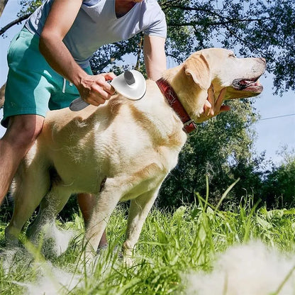 Self-cleaning pet dog and cat brush from Prime Deal Zone, grooming tool with dematting comb for removing loose hair.