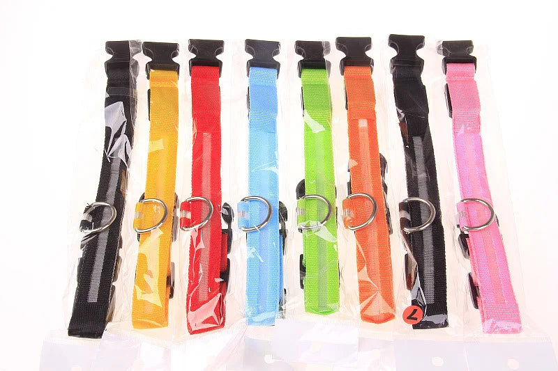 Nylon LED night safety dog leash glowing in the dark with luminous fluorescent accents, ideal for nighttime walks.