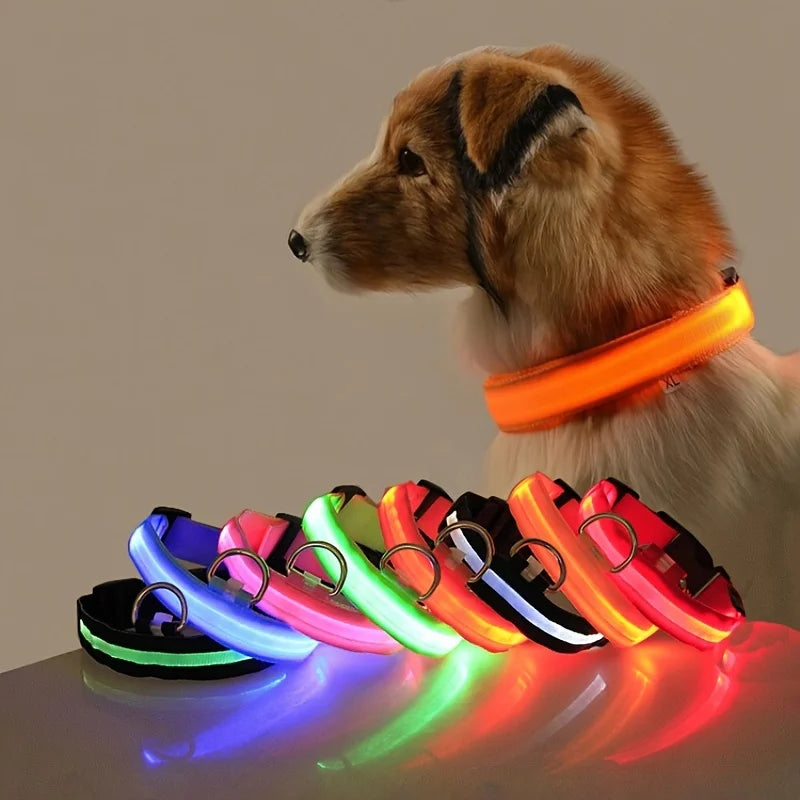 Nylon LED safety dog leash with glowing fluorescent surface and reflective features, ideal for nighttime walks with pets.