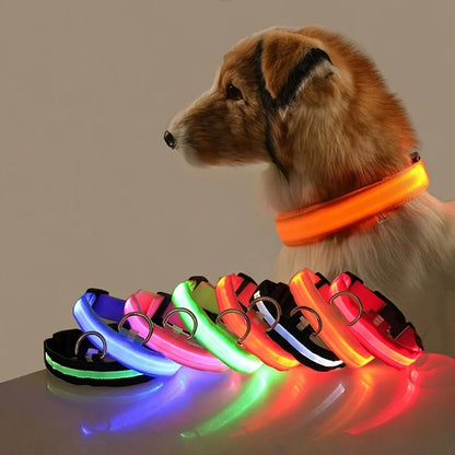 Nylon LED safety dog leash with glowing fluorescent surface and reflective features, ideal for nighttime walks with pets.