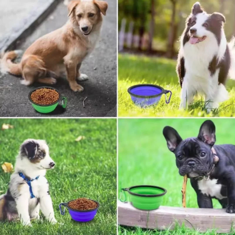Prime Deal Zone collapsible TPR pet food and water bowl for cats and dogs, portable and outdoor-friendly travel feeding dish