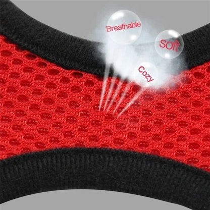 Prime Deal Zone cat harness vest with leash, adjustable mesh pet harness for small and medium dogs, lightweight polyester collar.