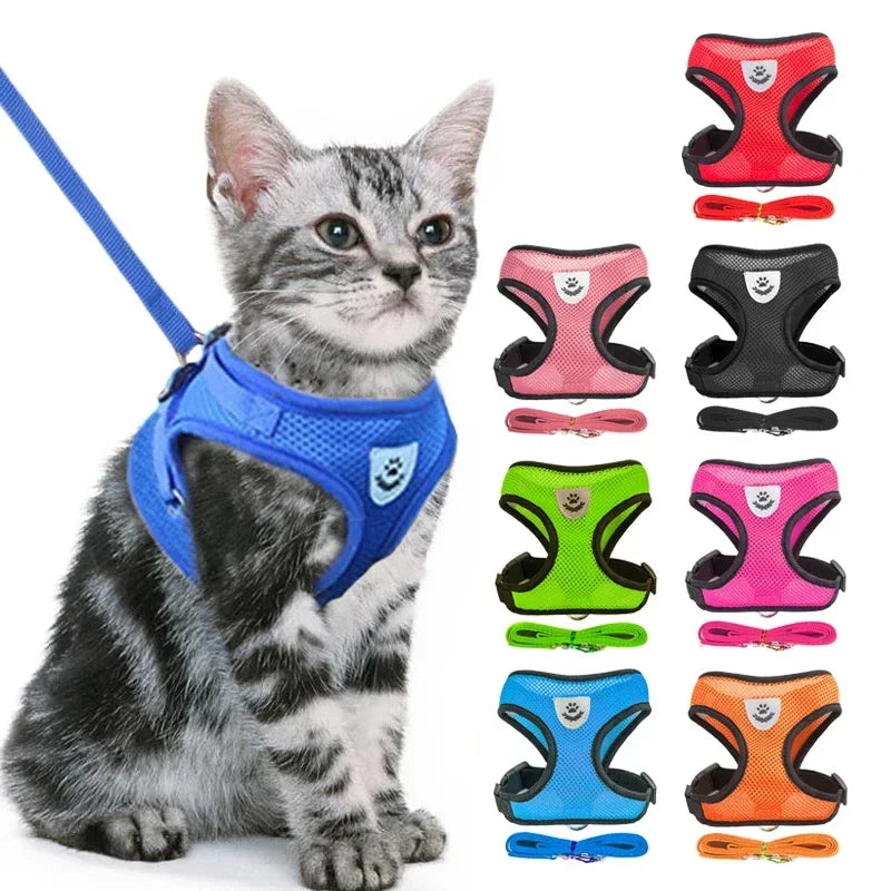 Prime Deal Zone cat harness vest with leash, adjustable mesh dog harness for small and medium pets, featuring a comfortable polyester design.
