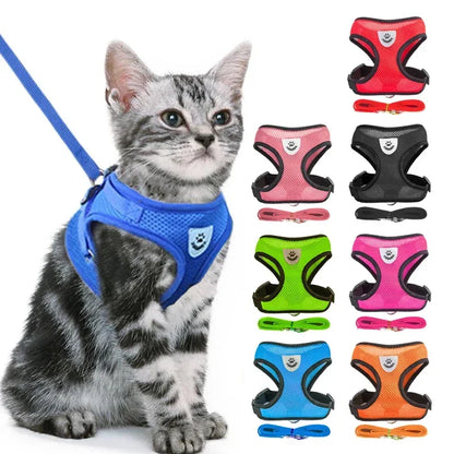 Prime Deal Zone cat harness vest with leash, adjustable mesh dog harness for small and medium pets, featuring a comfortable polyester design.