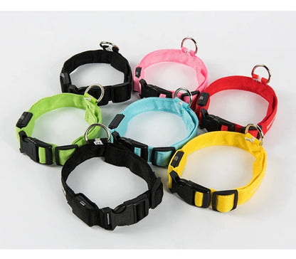 Nylon LED night safety dog leash with glowing fluorescent and luminous features, ideal for visibility during nighttime walks.
