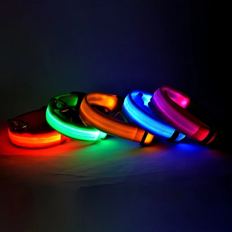 Nylon LED night safety dog leash with glowing fluorescent and luminous features, ideal for visibility during evening walks.