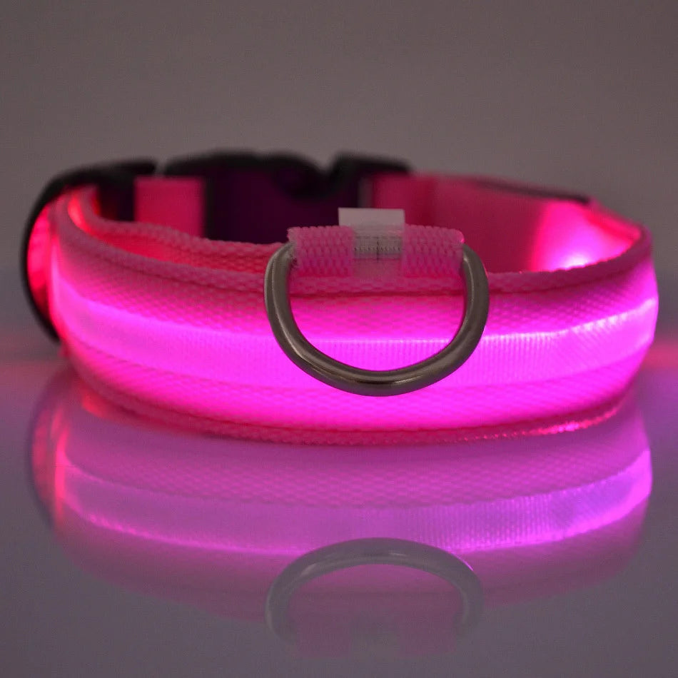 Nylon LED dog leash with luminous glow-in-the-dark and fluorescent safety features, suitable for night walks with pets.