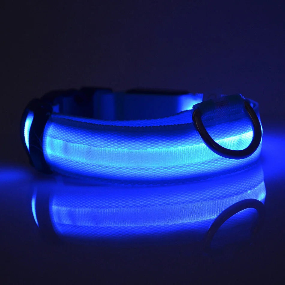 Reflective nylon LED dog leash with glowing, luminous fluorescent collar for night safety and visibility during evening walks