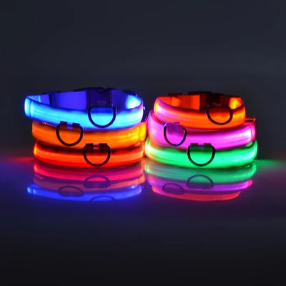Nylon LED dog leash with glowing, luminous fluorescent features for night safety and visibility during evening walks.