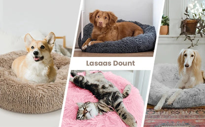Prime Deal Zone round pet bed in various sizes, plush, soft, and warm for large dogs and cats, ideal for winter comfort.