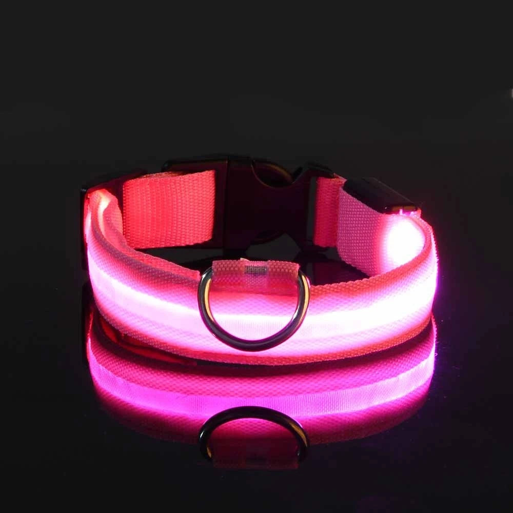 Nylon LED night safety dog leash with glowing fluorescent features, ideal for visibility and safety during evening walks.