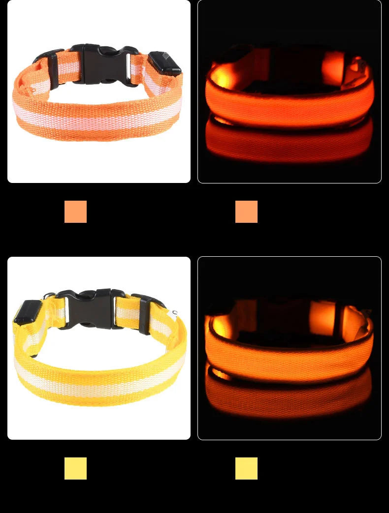 Nylon LED dog leash glowing in the dark with fluorescent safety features, ideal for nighttime visibility and pet safety.