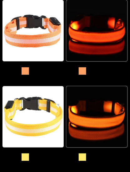 Nylon LED dog leash glowing in the dark with fluorescent safety features, ideal for nighttime visibility and pet safety.