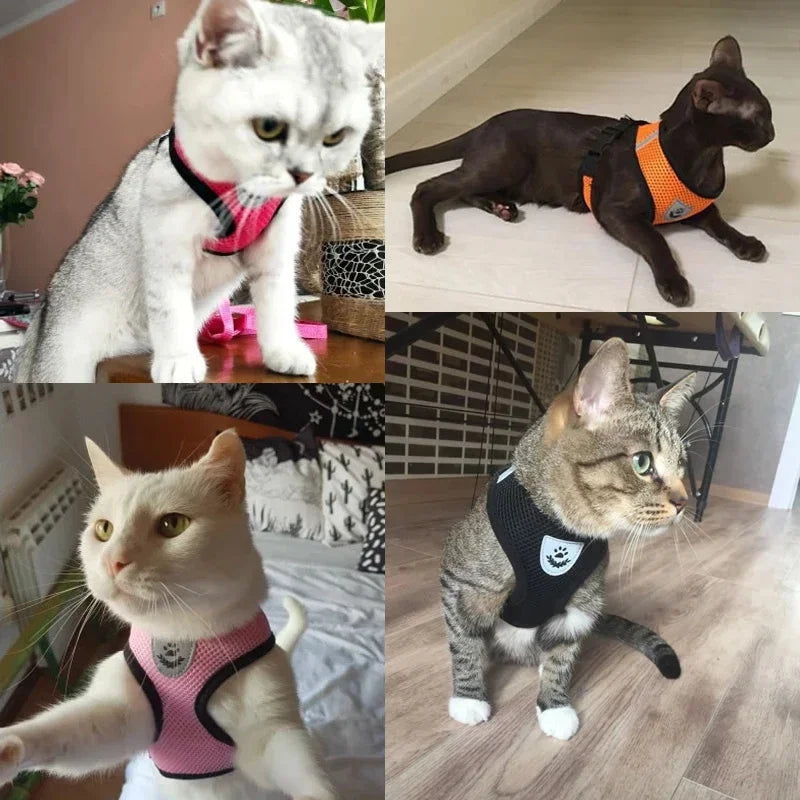 Adjustable polyester cat harness vest with leash for small and medium dogs, featuring mesh material and secure collar design.