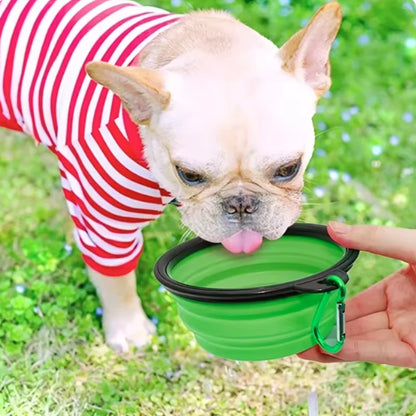 Durable TPR portable pet food and water bowl by Prime Deal Zone, collapsible silicone travel bowl for cats and dogs outdoors.