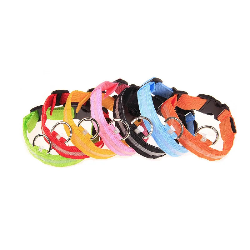 Nylon LED night safety dog leash with glowing fluorescent luminous features, suitable for nighttime visibility and pet safety.