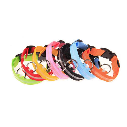 Nylon LED night safety dog leash with glowing fluorescent luminous features, suitable for nighttime visibility and pet safety.