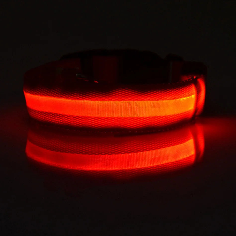 Luminous fluorescent nylon dog leash with LED safety flashing light for nighttime visibility and secure pet safety.