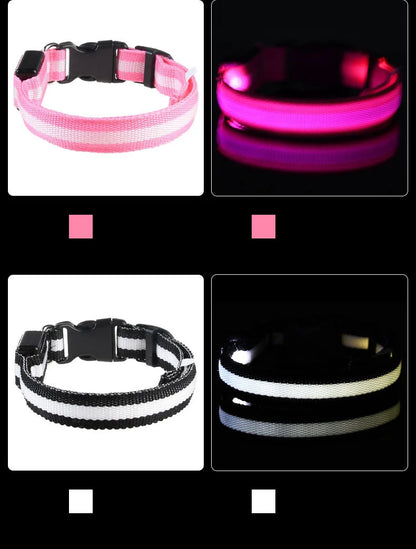 Nylon LED night safety dog leash with glowing fluorescent strip, ideal for visibility during evening walks, by Prime Deal Zone.