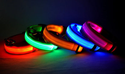 Nylon LED dog leash with flashing glow-in-the-dark feature, luminous fluorescent collar for safety during night walks.