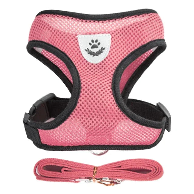 Prime Deal Zone cat harness vest with leash, adjustable mesh dog harness for small to medium pets, polyester walking collar.